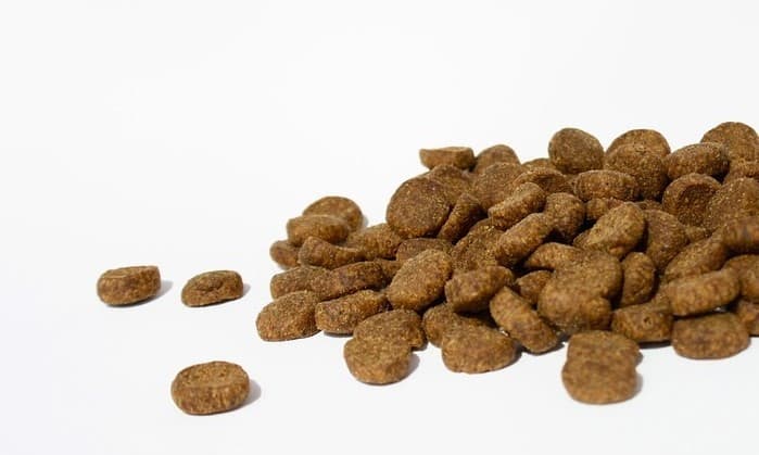 small mound of kibble dog food on white background